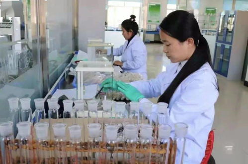 七星農業技術推廣中心入選全國星級基層農技推廣機構