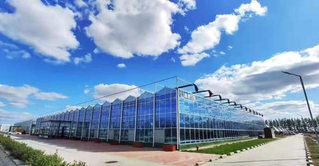 濰坊國(guó)家現(xiàn)代農(nóng)業(yè)產(chǎn)業(yè)園勇當(dāng)創(chuàng)新提升&ldquo;濰坊模式&rdquo;排頭兵