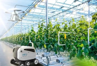 漢中pc陽(yáng)光板智能溫室大棚新報(bào)價(jià)