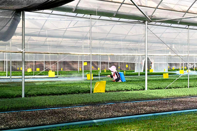 楚雄:經(jīng)濟發(fā)展提檔升級 團結(jié)奮進再譜新篇