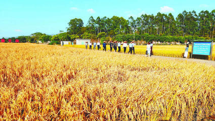 聚力加強農(nóng)業(yè)科技服務(wù)體系建設(shè)