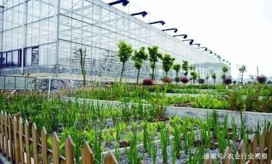 都市農(nóng)業(yè)未來在哪里?科技+商業(yè)