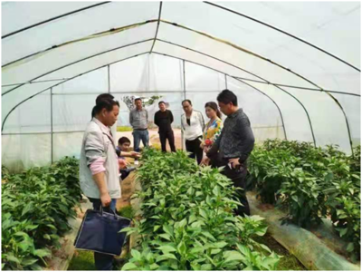 崇仁縣人民政府 工作動態 送科技下鄉 助春耕備耕