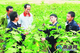 十年一鳴海南農(nóng)業(yè)科技110 鳥槍換炮 惠農(nóng)民