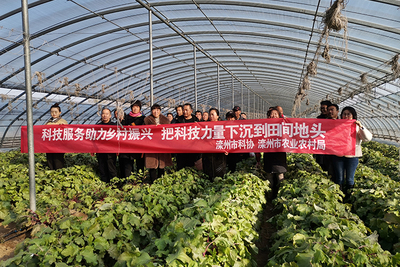 灤州市科協(xié)開展科技下鄉(xiāng)助農(nóng)服務活動