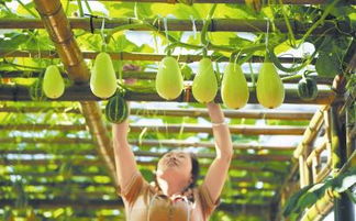 圖片新聞 四川日報