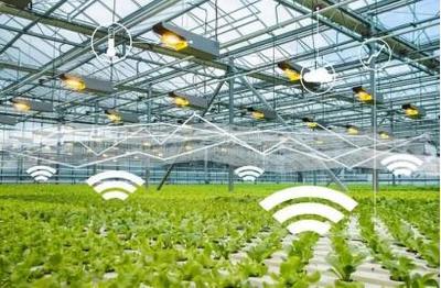 線上綠色農業:綠色農產品牽手&ldquo;互聯網&rdquo;,帶來新機遇