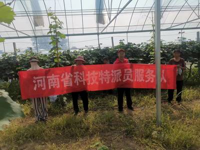 河南省科技特派員王尚堃赴鄲城縣開展&lsquo;陽(yáng)光玫瑰&rsquo;葡萄栽培管理技術(shù)服務(wù)指導(dǎo)