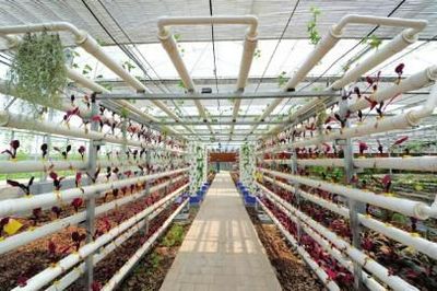 融入科技元素 資中全力推動(dòng)科技創(chuàng)新(組圖)