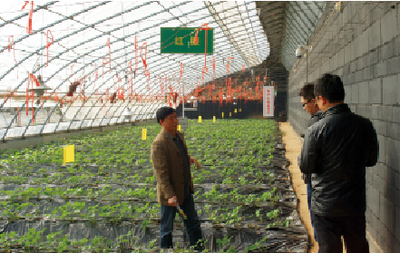 楊凌:中國農(nóng)業(yè)標準化的樣板