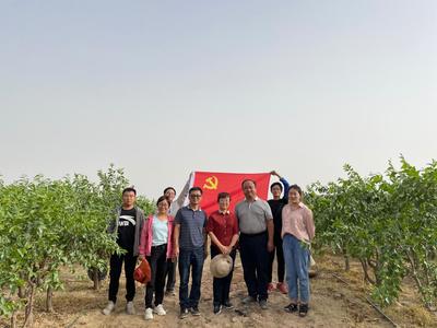 學黨史&middot;辦實事8|林果業(yè)科技服務團隊服務基層助力鄉(xiāng)村振興